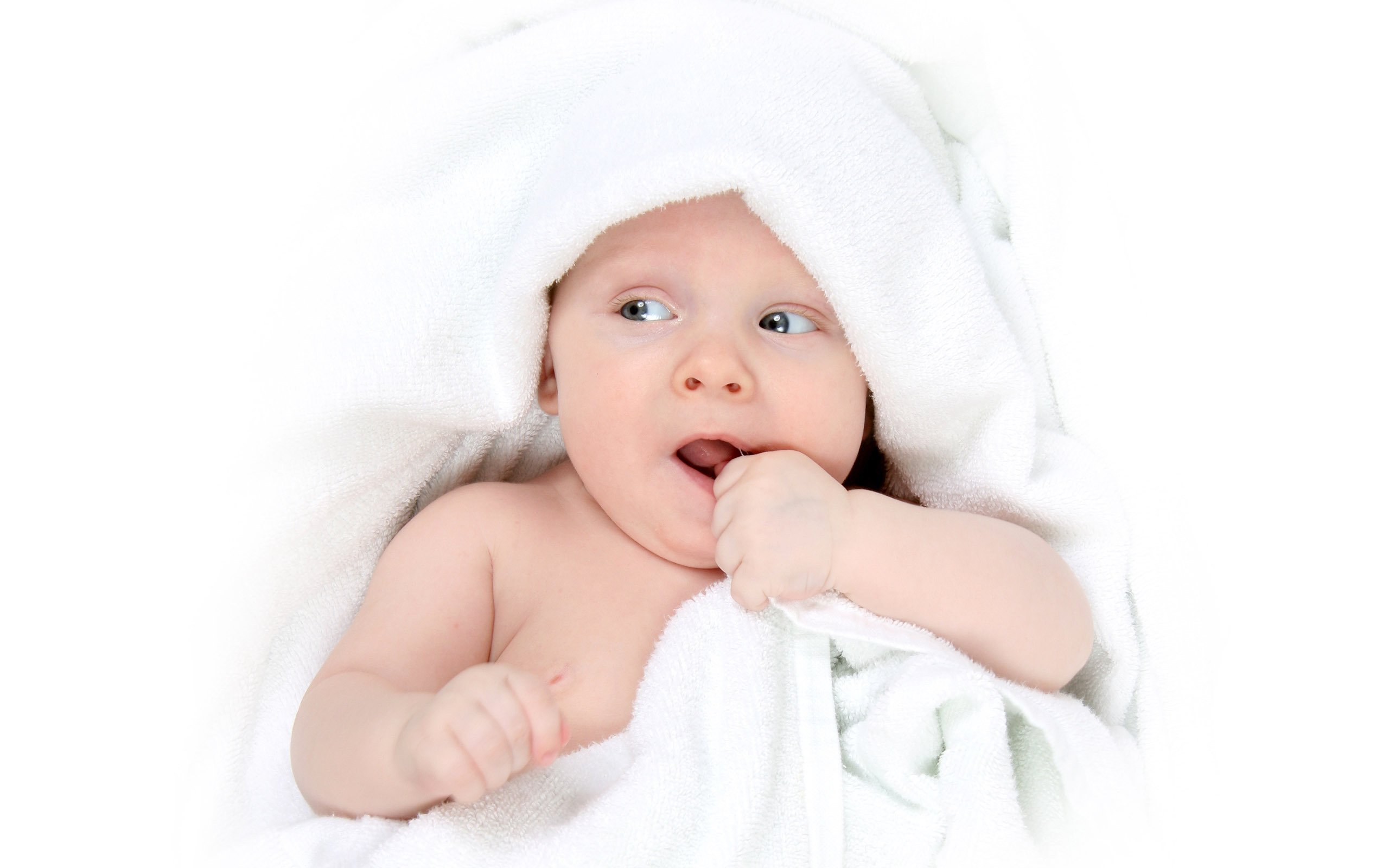 温州正规捐卵机构试管婴儿胚囊成功率